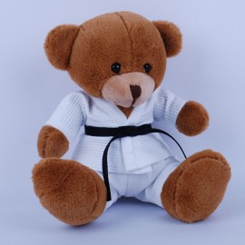 Teddy Bear in Judo Gi
