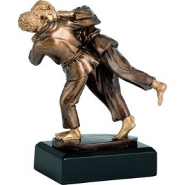 Tai-otoshi 221 Trophy
